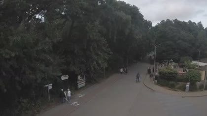 2026-08-10