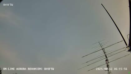 2025-08-12