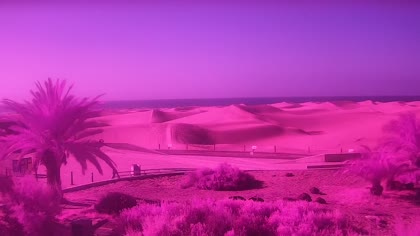2026-06-02