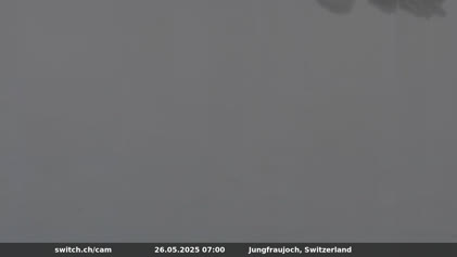 2025-05-26