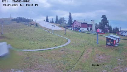 2025-09-10