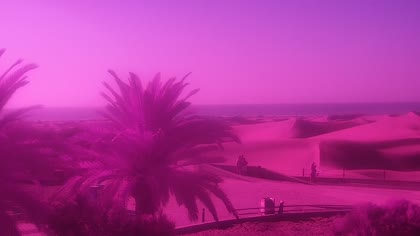 2026-08-20