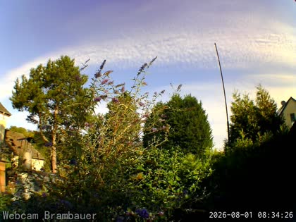 2026-08-01