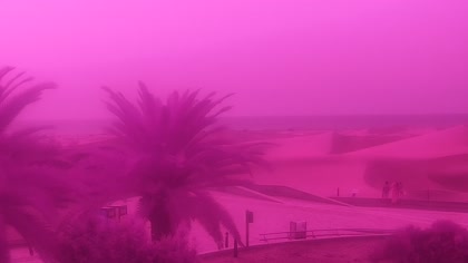 2026-09-25