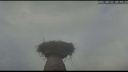 2025-09-12