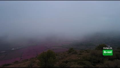 2025-10-12