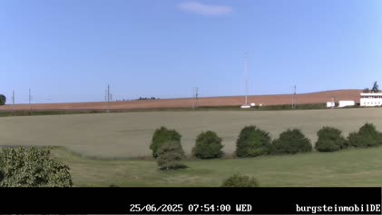 2025-06-25