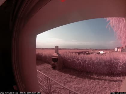2025-07-26