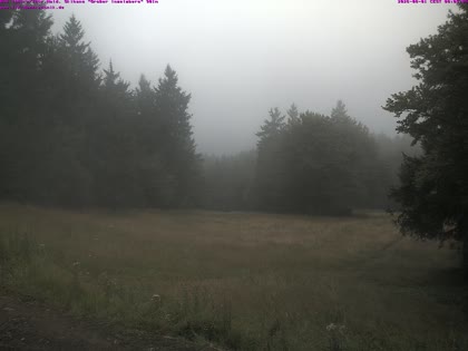 2026-08-01