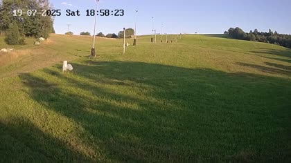 2025-07-19