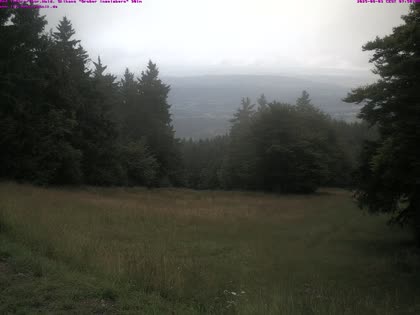 2025-08-03