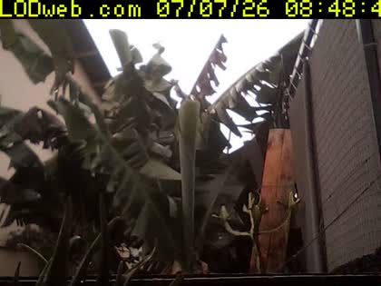 2026-07-07