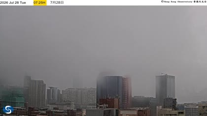 2026-07-28