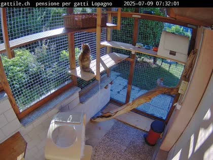 2025-07-09