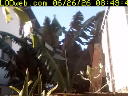 2026-06-26