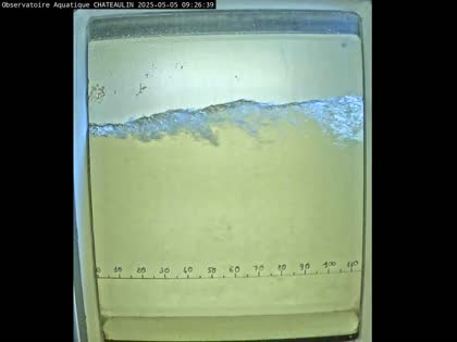 2025-05-05