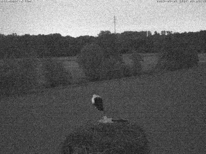 2025-05-05