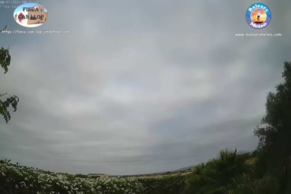 2025-07-08
