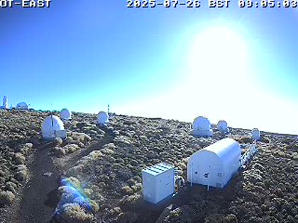 2025-07-26