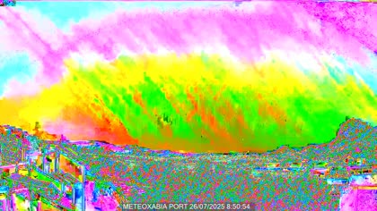 2025-07-26