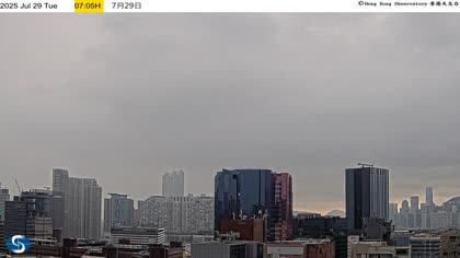 2025-07-29