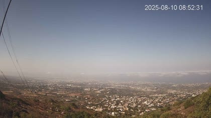 2025-08-10