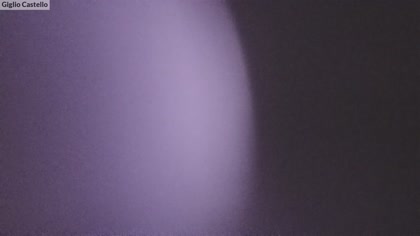 2025-08-19