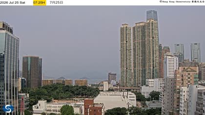 2026-07-25