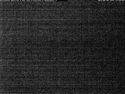 2025-06-09