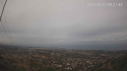 2025-05-31
