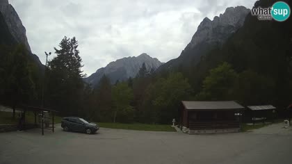 2026-08-11