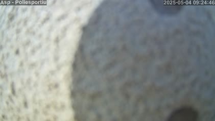 2025-05-04