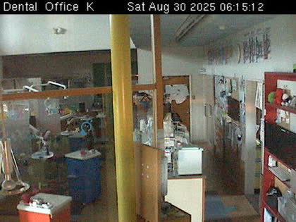 2025-08-29