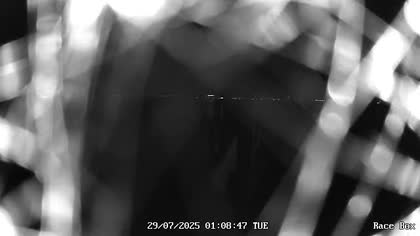 2025-07-29