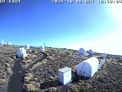 2025-10-08