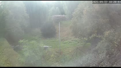 2025-09-17