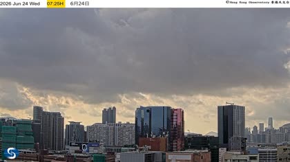 2026-06-24