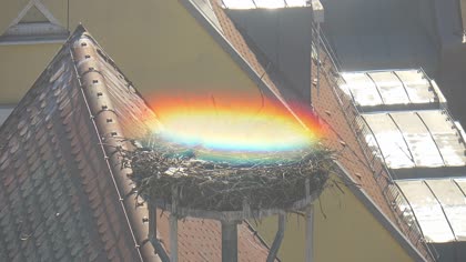 2025-08-31