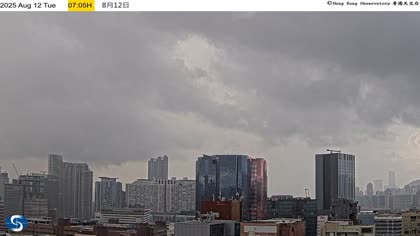 2025-08-12