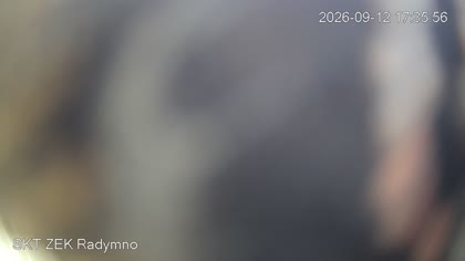2026-09-12