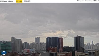 2026-08-15