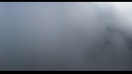 2025-08-01