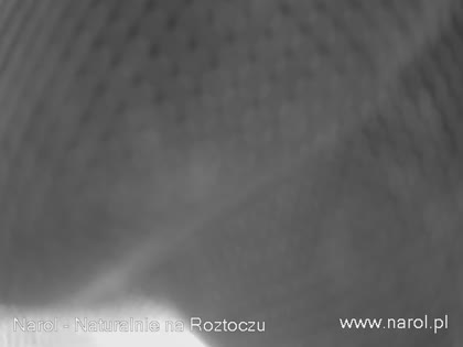 2026-09-02