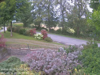 2025-09-16