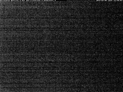 2025-07-03