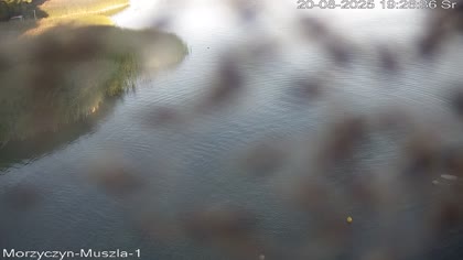 2025-08-20