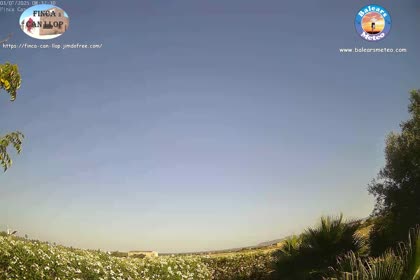 2025-07-03