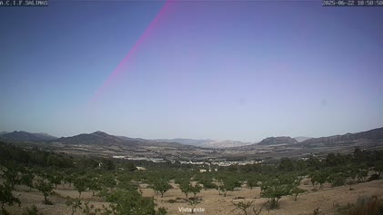 2025-06-22