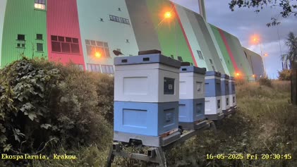 2025-05-16