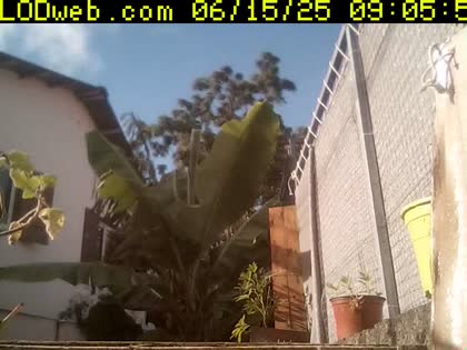 2025-06-15